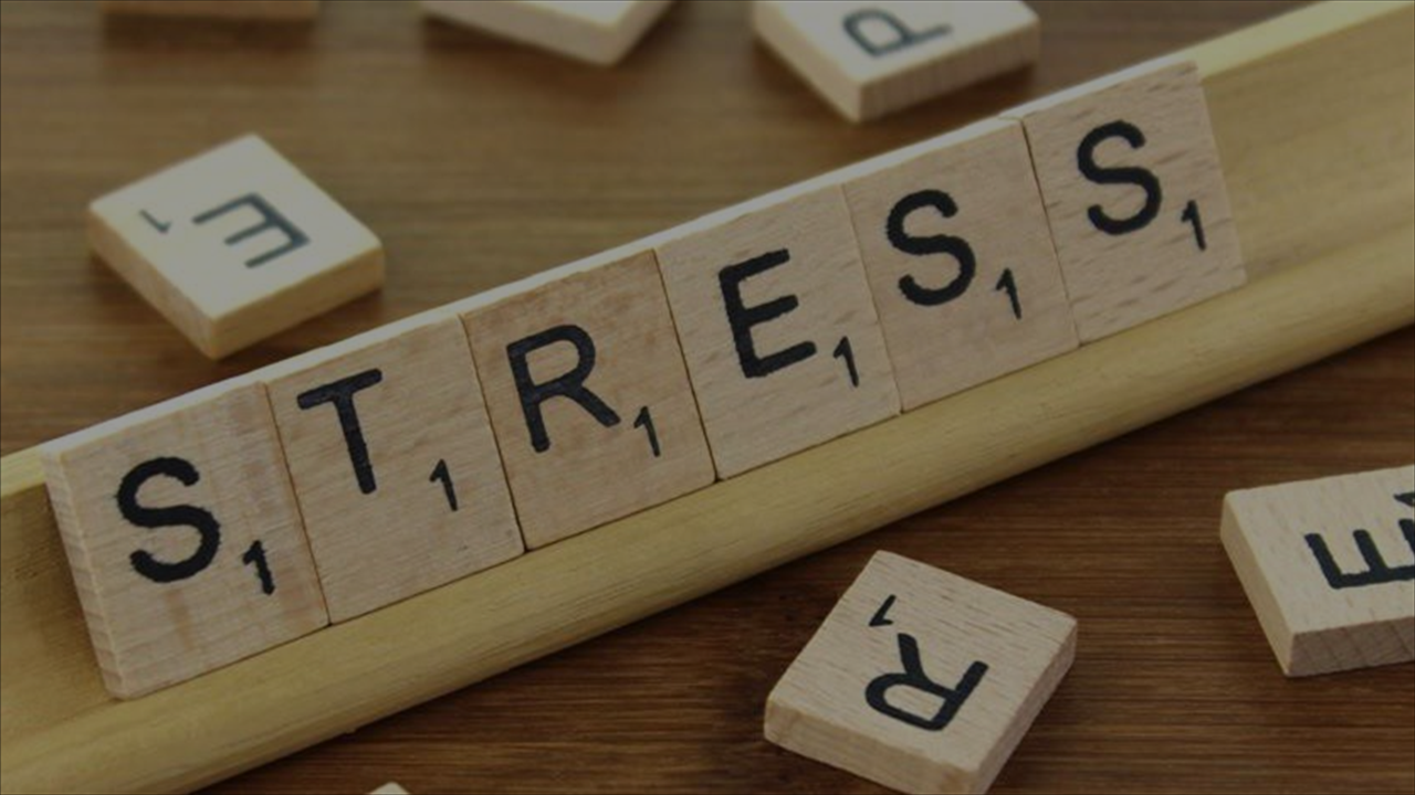 Perception Matters: Becoming a Resilient Responder (On-Demand)