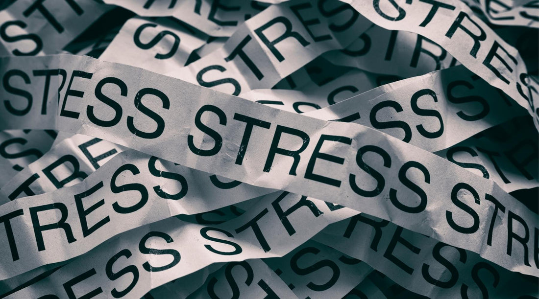 How Is Your Stress Fitness?